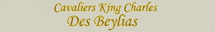 beylias.com