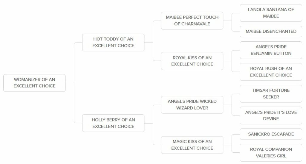 Womanizer of An Excellent Choice - An Excellent Choice
