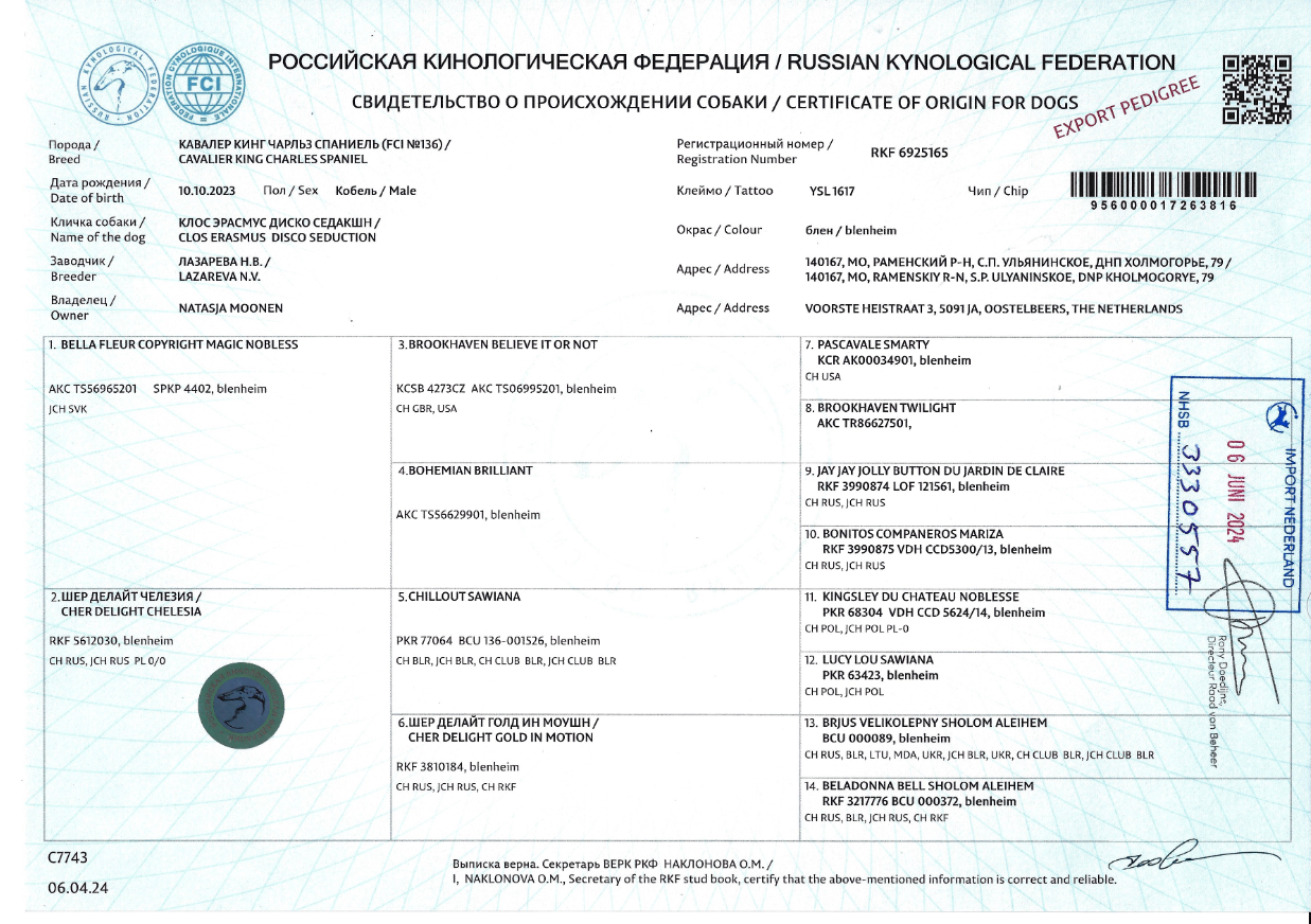 Schermafbeelding 2024-11-15 202742